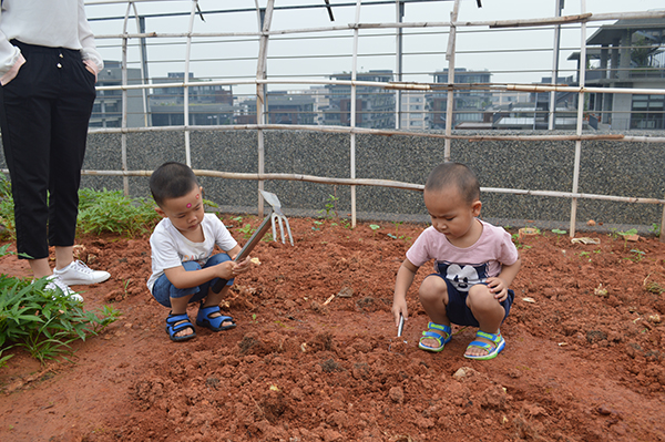 太陽能路燈，太陽能路燈廠家，太陽能路燈價格