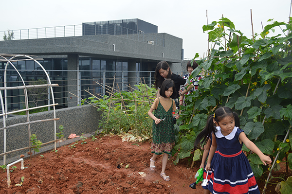 太陽能路燈，太陽能路燈廠家，太陽能路燈價格