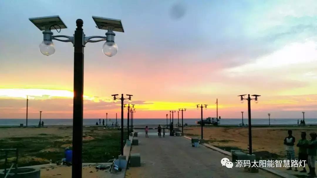 總統、發展局主席齊齊發聲，源碼火遍這個國家