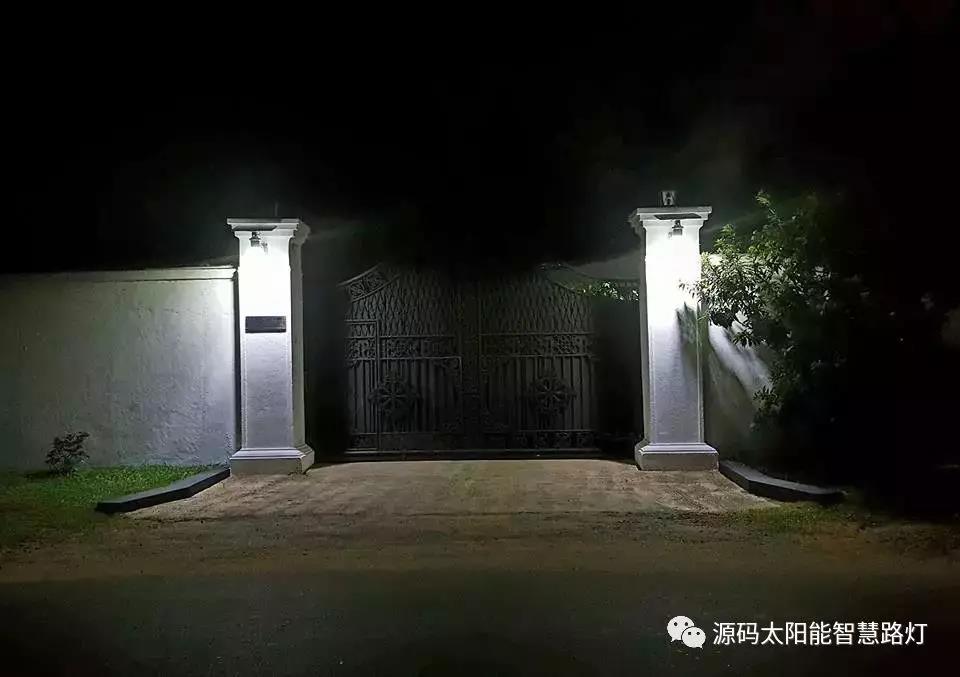 總統、發展局主席齊齊發聲，源碼火遍這個國家