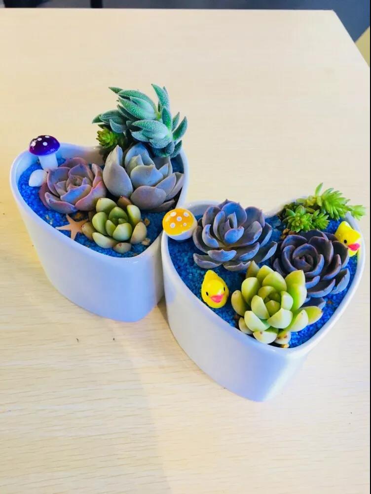 女神節(jié)快樂(lè) | 女神節(jié)就要玩出不一樣……